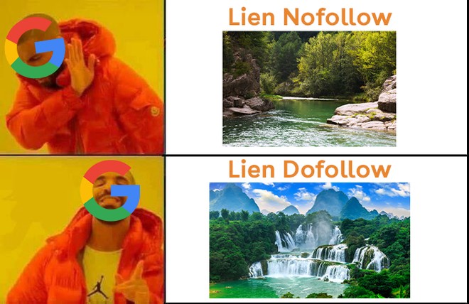 Nofollow-Dofollow